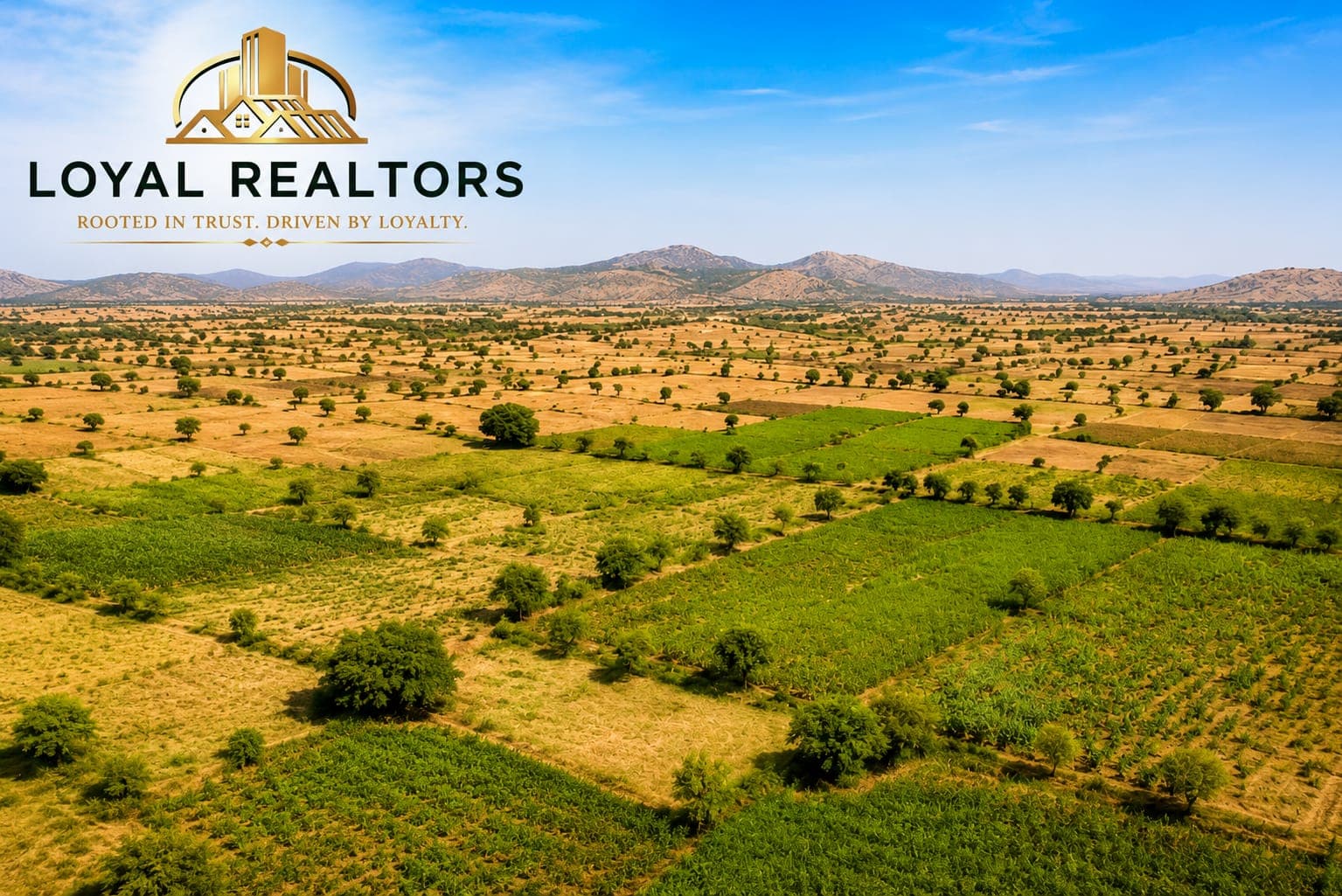 Agricultural Land for Sale – Kanjanahalli, Hiriyur - Kanjanahalli, Dharmapura Hobli, Hiriyur Taluk, Chitradurga District Real Estate